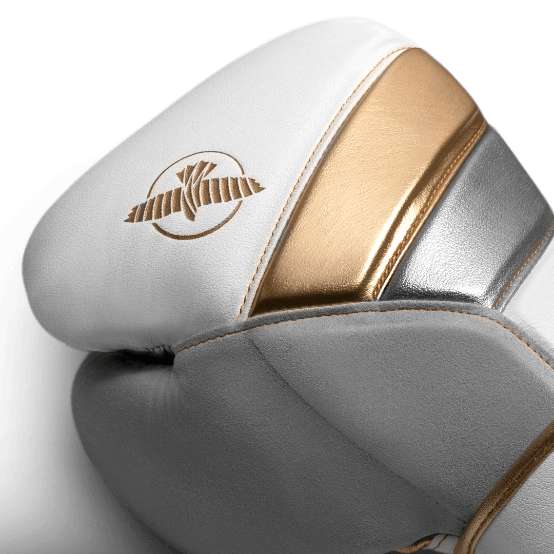 Hayabusa T3 Boxing Gloves