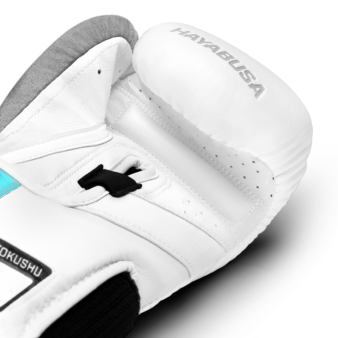 Hayabusa T3 Boxing Gloves