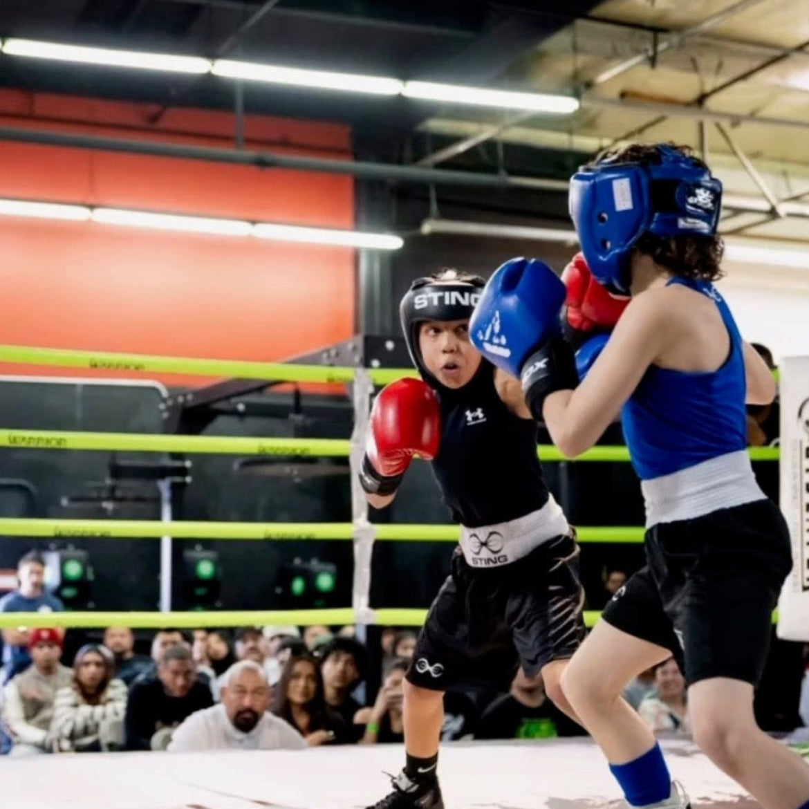 Two boxers in a boxing ring with spectators watching.