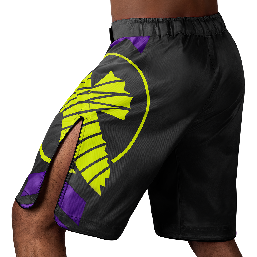 Hayabusa Icon MMA Shorts