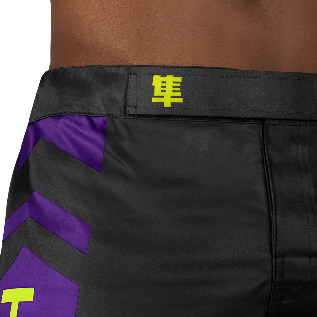 Hayabusa Icon MMA Shorts