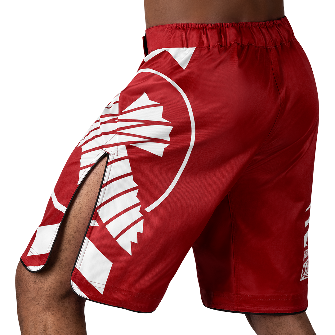 Hayabusa Icon MMA Shorts