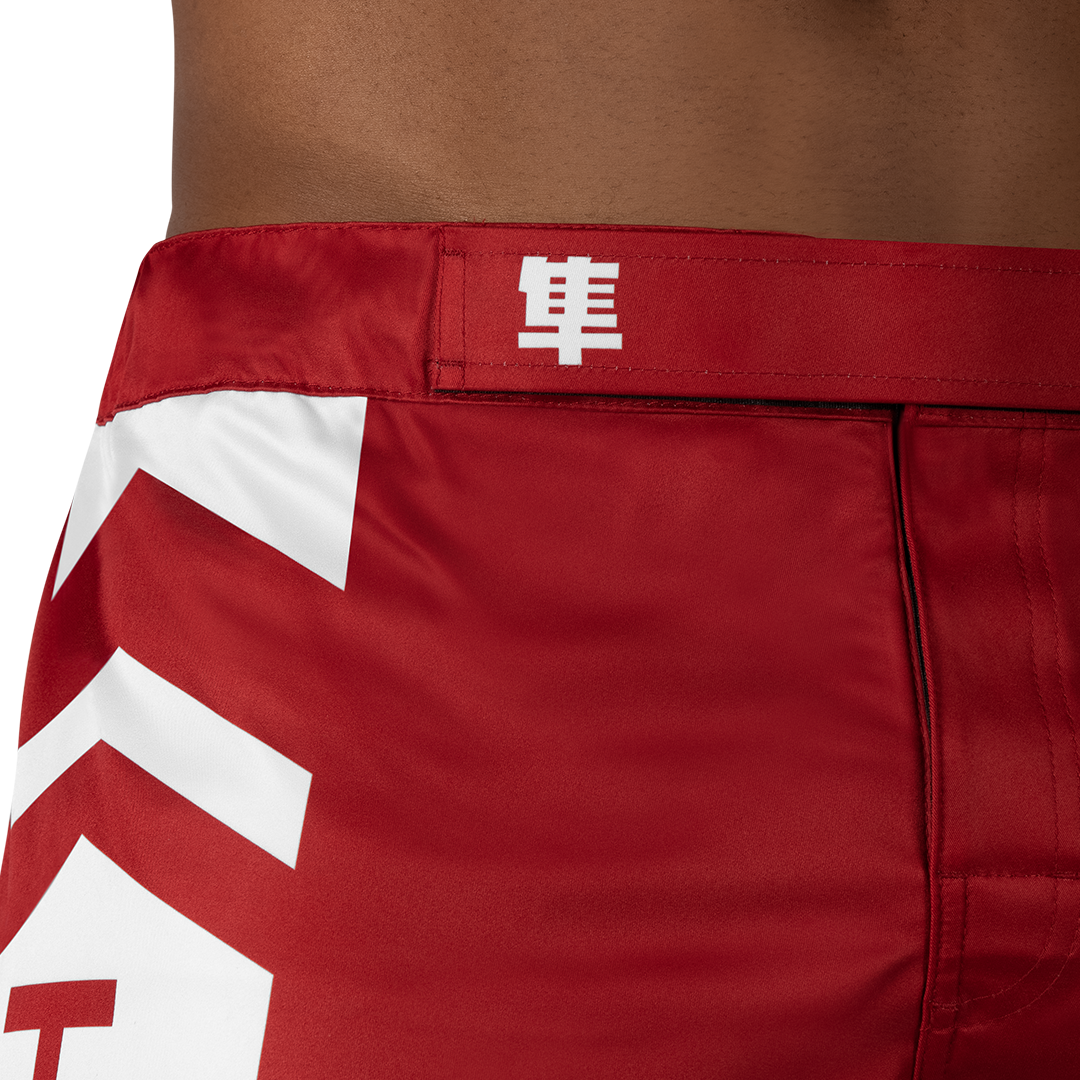 Hayabusa Icon MMA Shorts