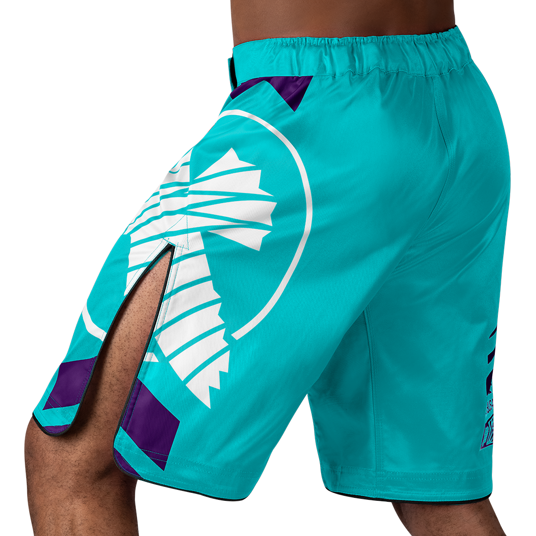 Hayabusa Icon MMA Shorts