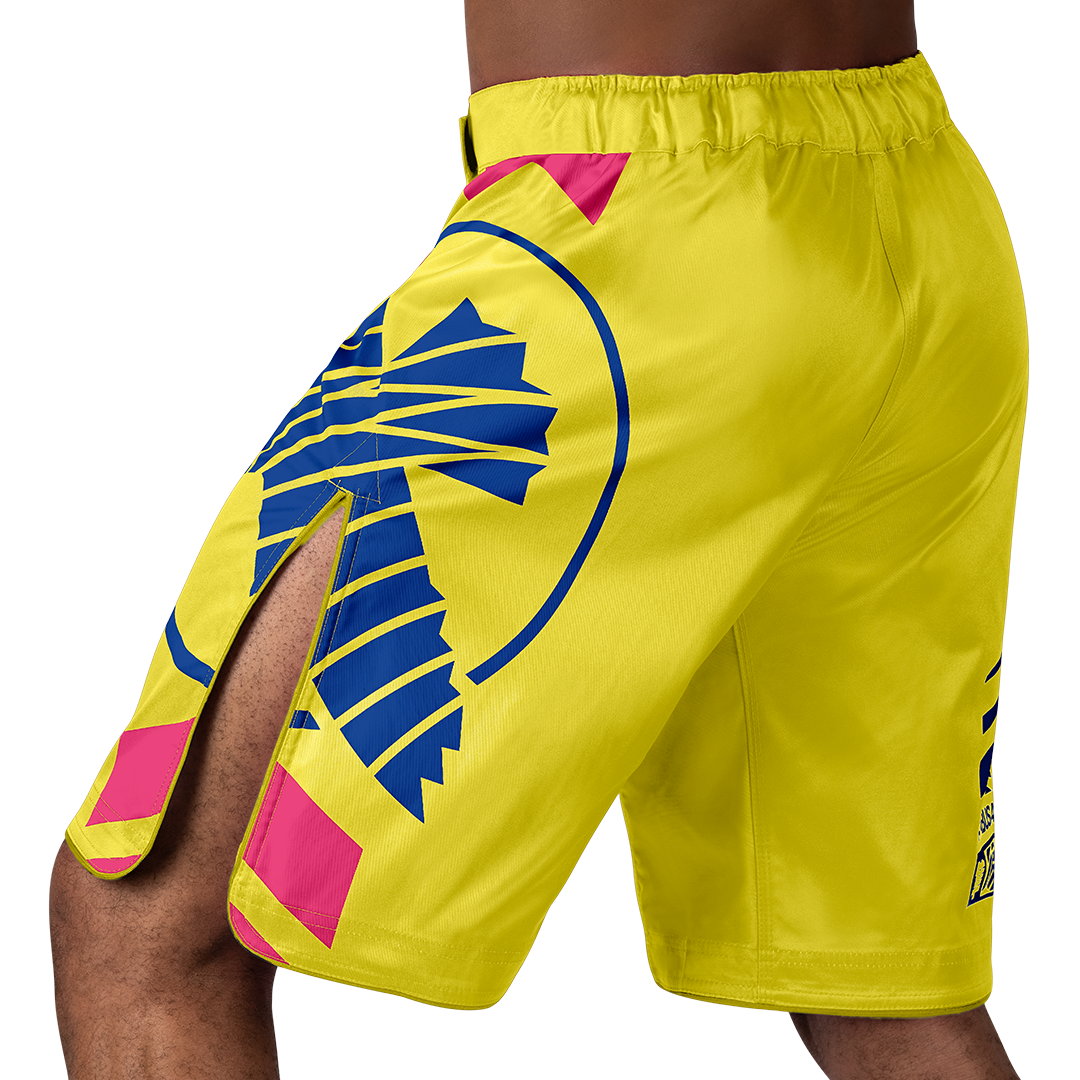 Hayabusa Icon MMA Shorts