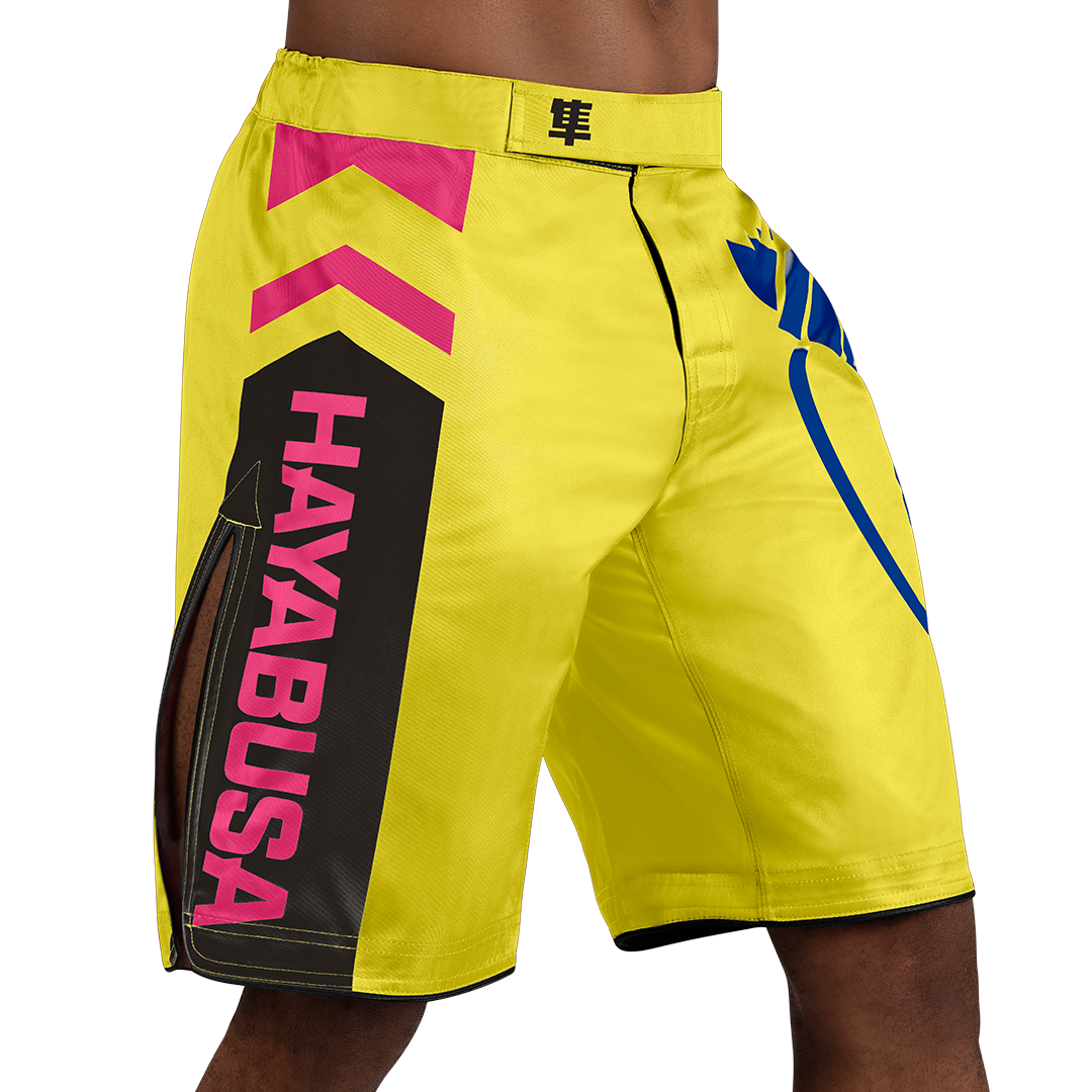 Hayabusa Icon MMA Shorts