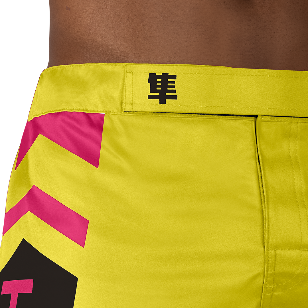 Hayabusa Icon MMA Shorts