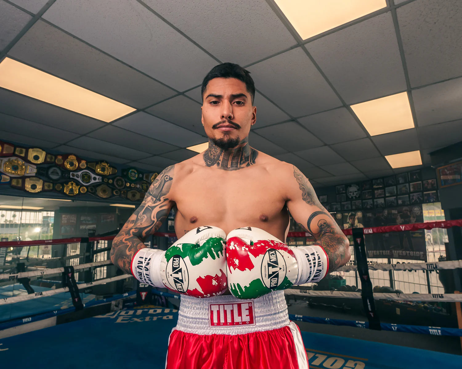 Pro Mex Combatiente Pro Fight Boxing Gloves