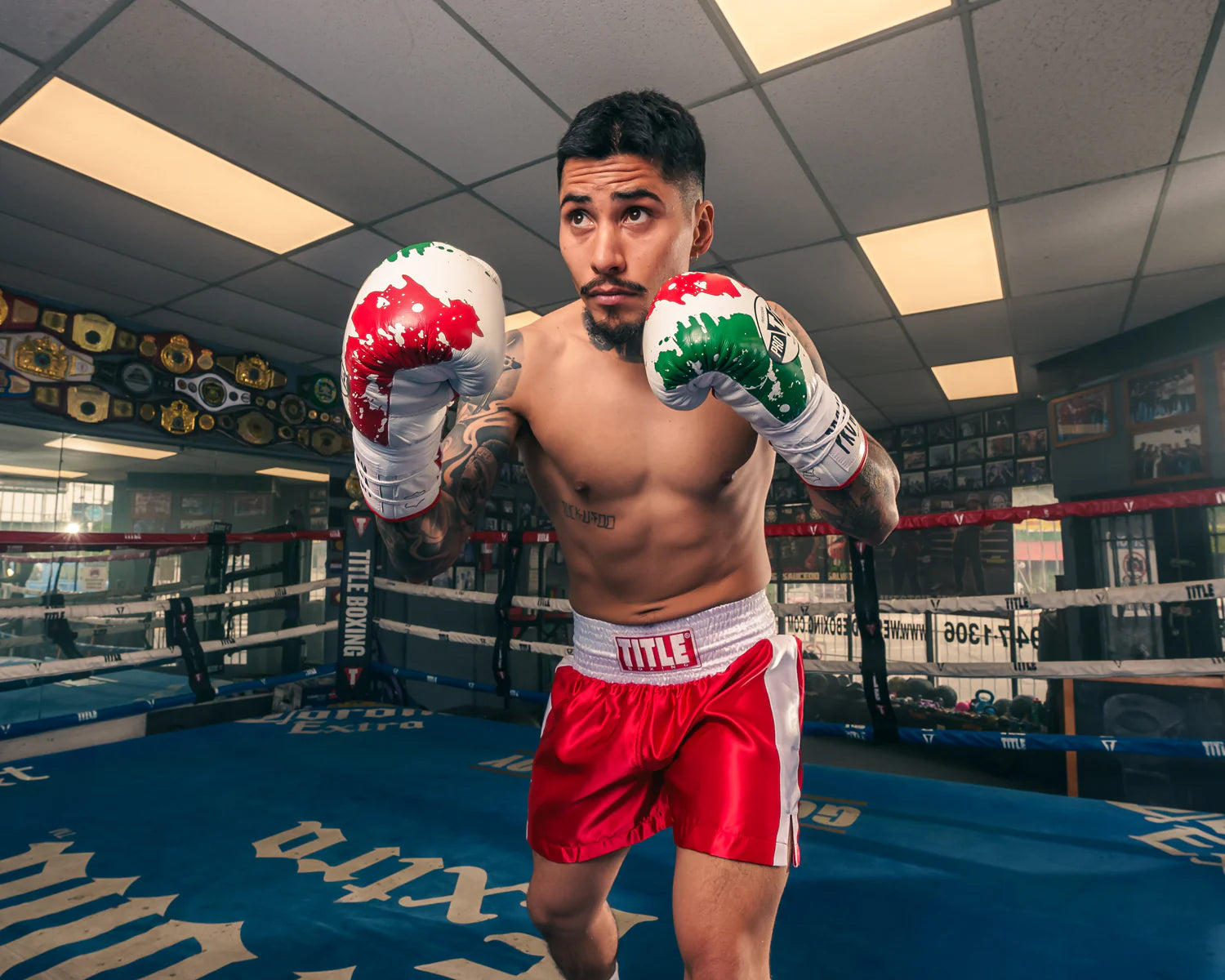 Pro Mex Combatiente Pro Fight Boxing Gloves