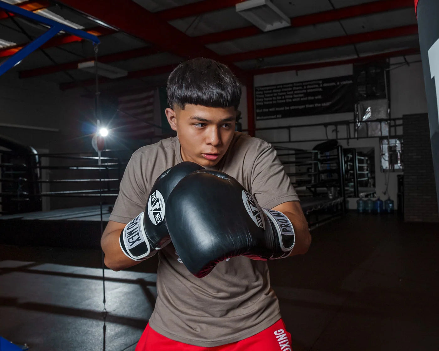 Pro Mex Professional Training Boxing Gloves 3.0