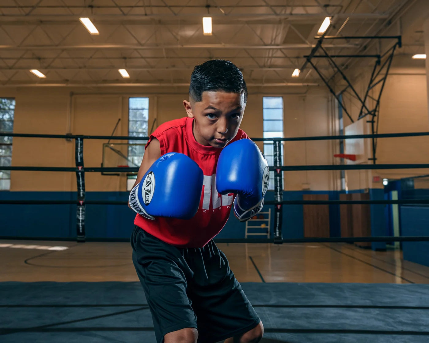 Pro Mex Professional Training Boxing Gloves 3.0
