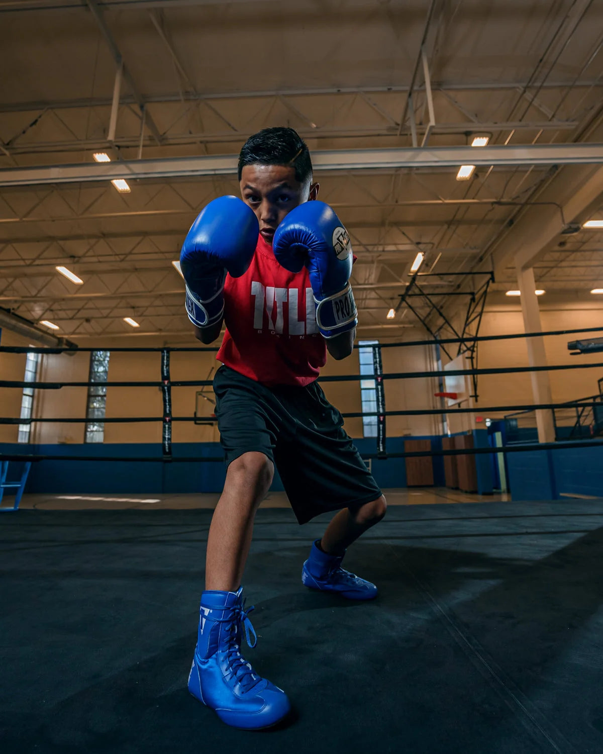 Pro Mex Professional Training Boxing Gloves 3.0
