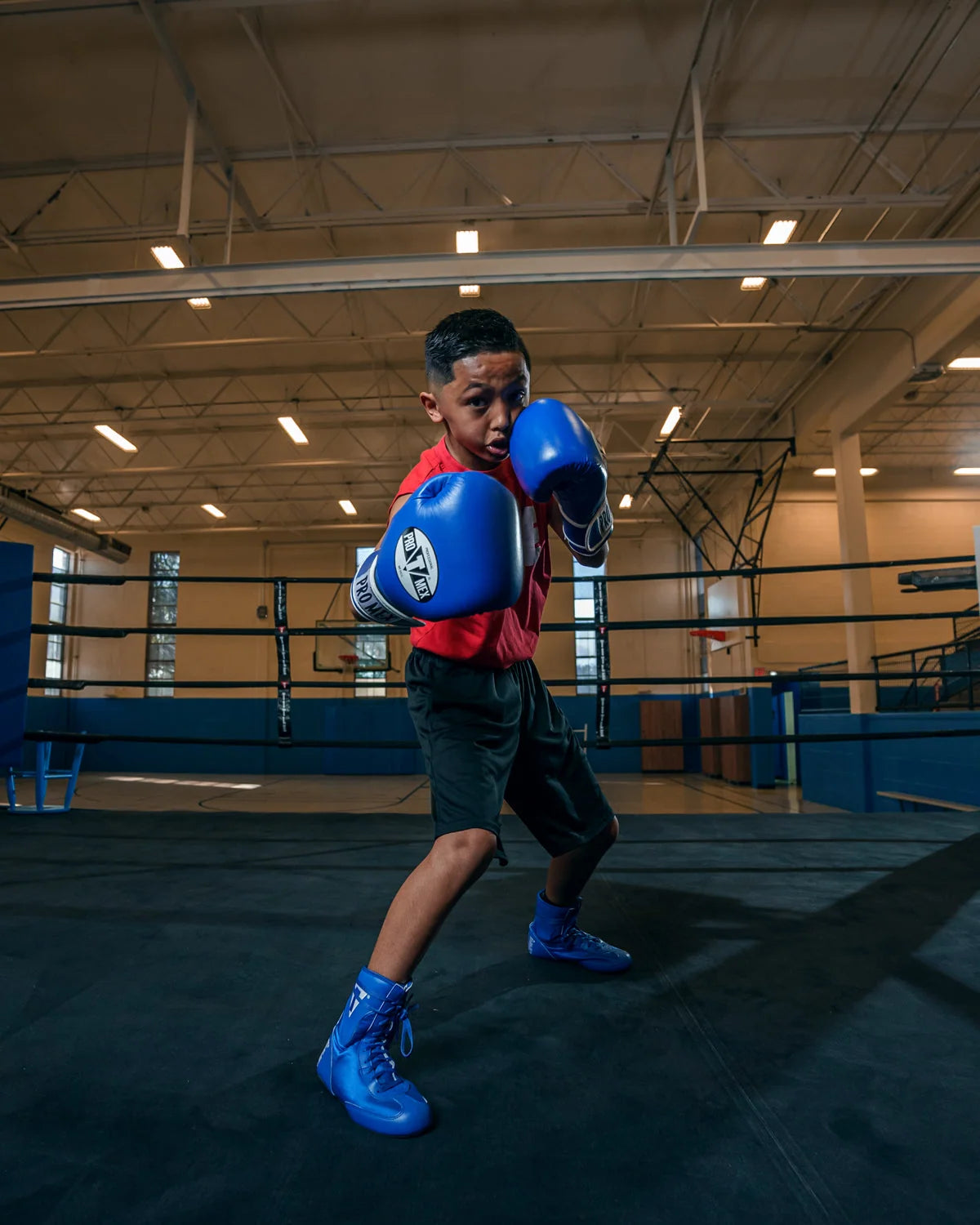 Pro Mex Professional Training Boxing Gloves 3.0