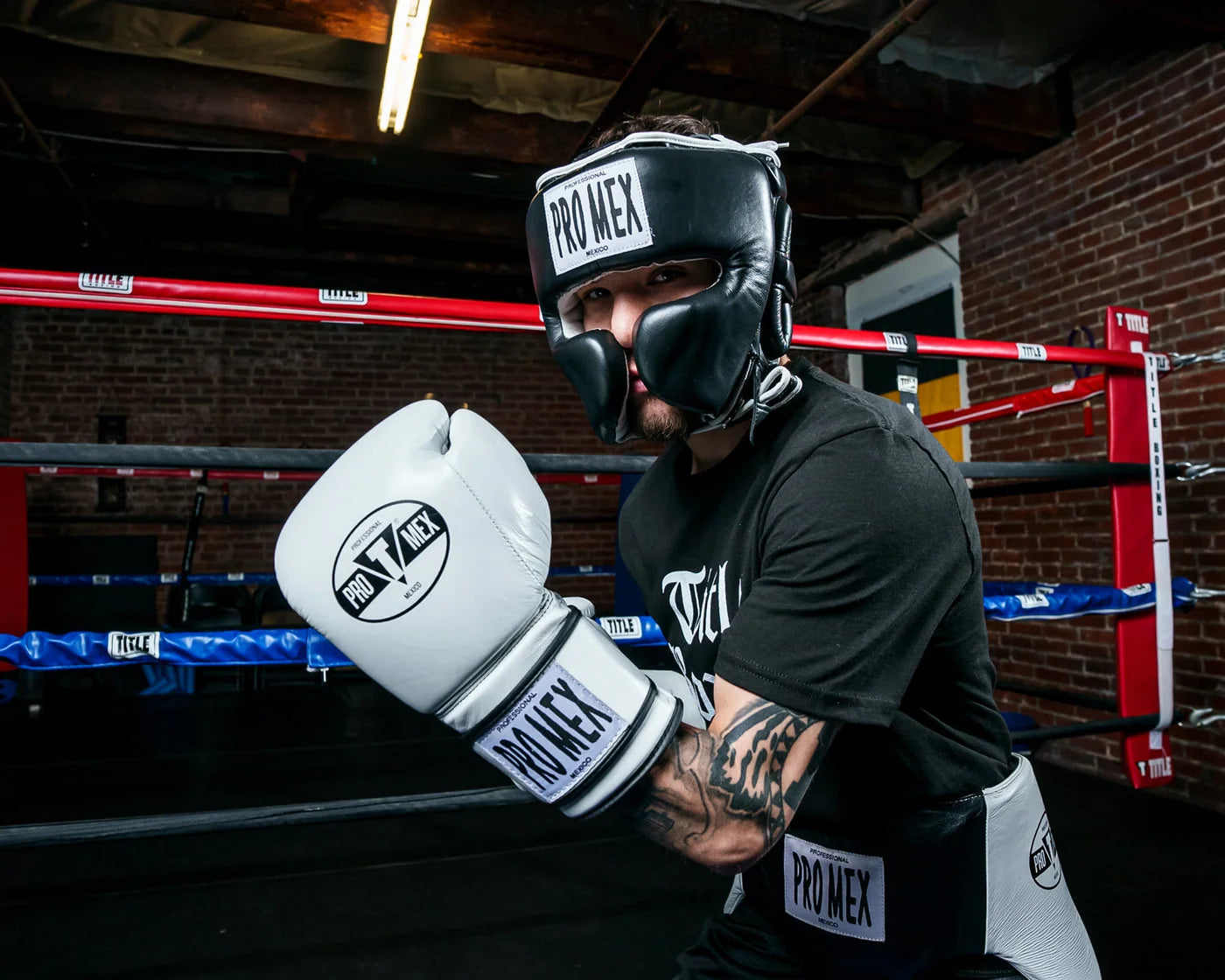 Pro Mex Professional Training Boxing Gloves 3.0
