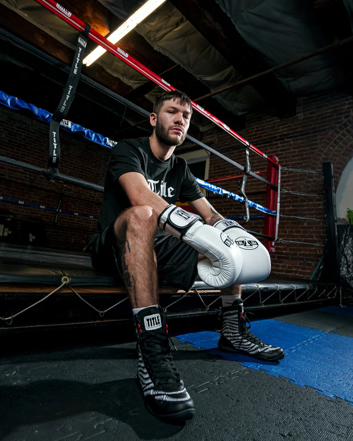 Pro Mex Professional Training Boxing Gloves 3.0