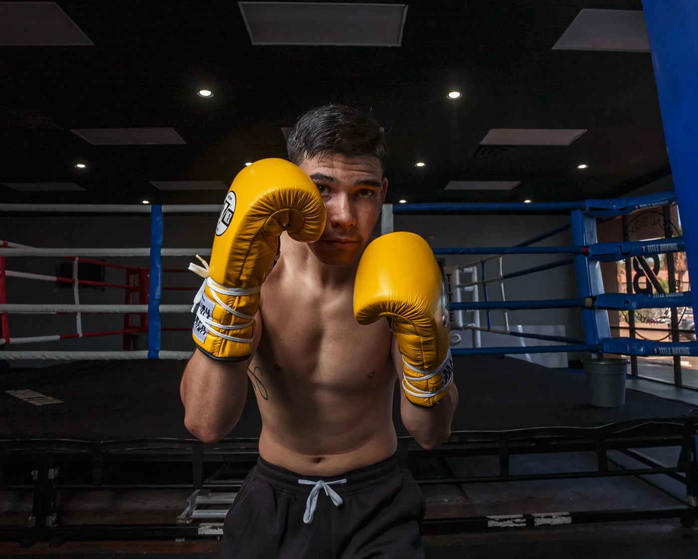 Pro Mex Professional Lace Sparring Boxing Gloves V3.0