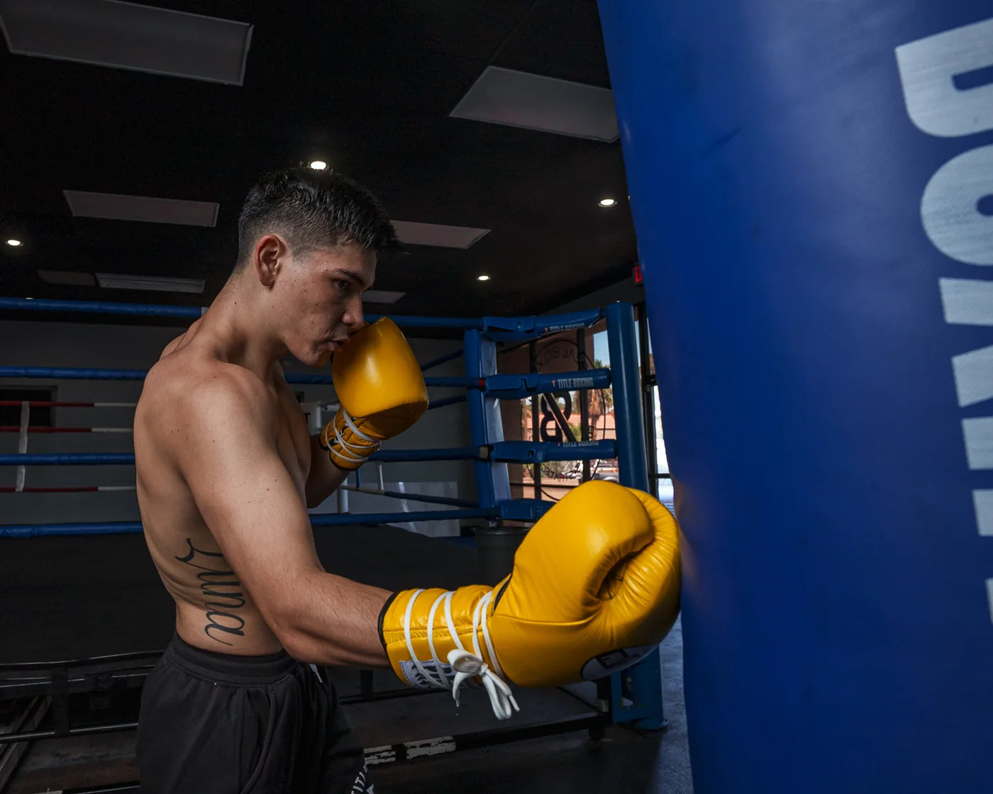 Pro Mex Professional Lace Sparring Boxing Gloves V3.0