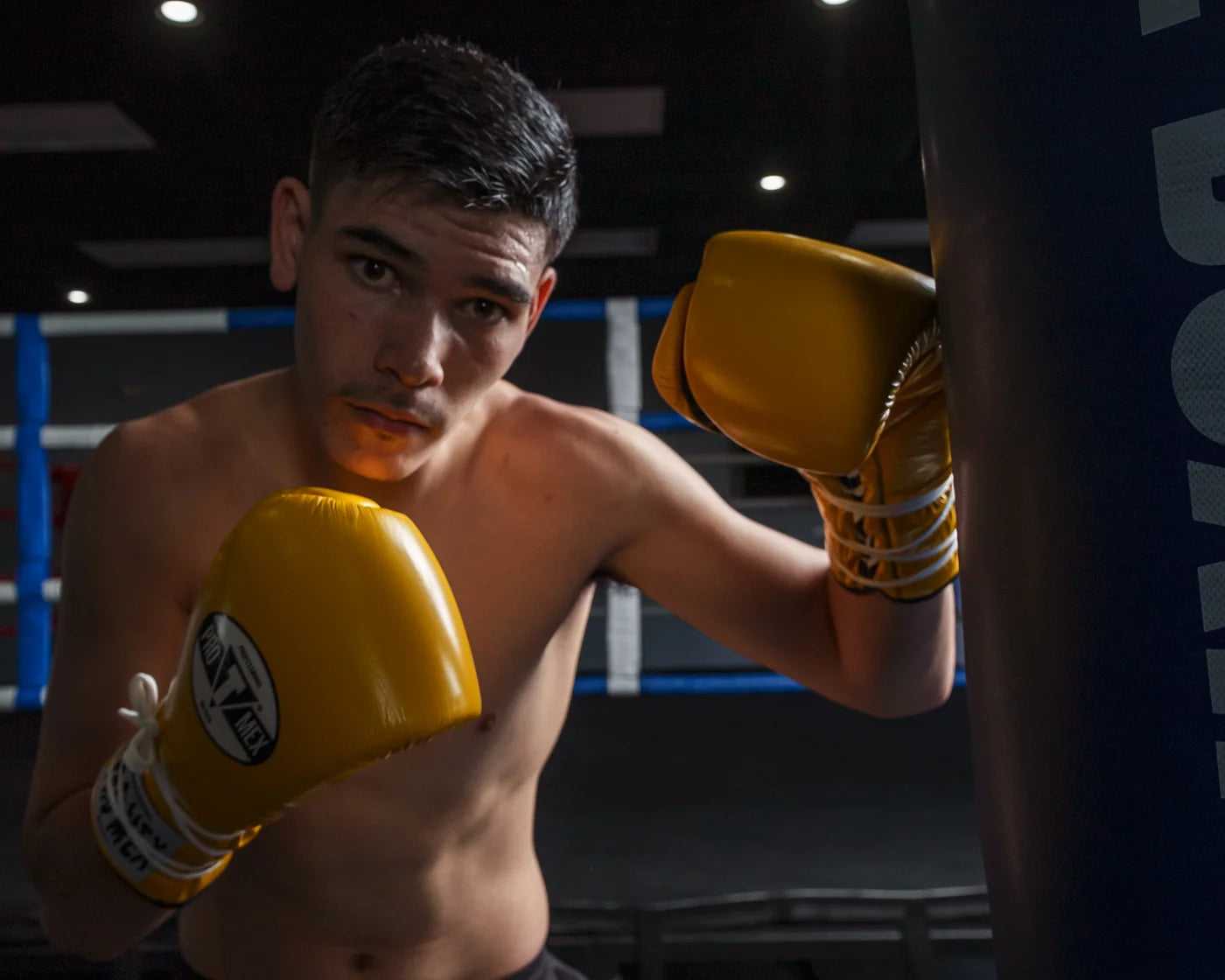 Pro Mex Professional Lace Sparring Boxing Gloves V3.0