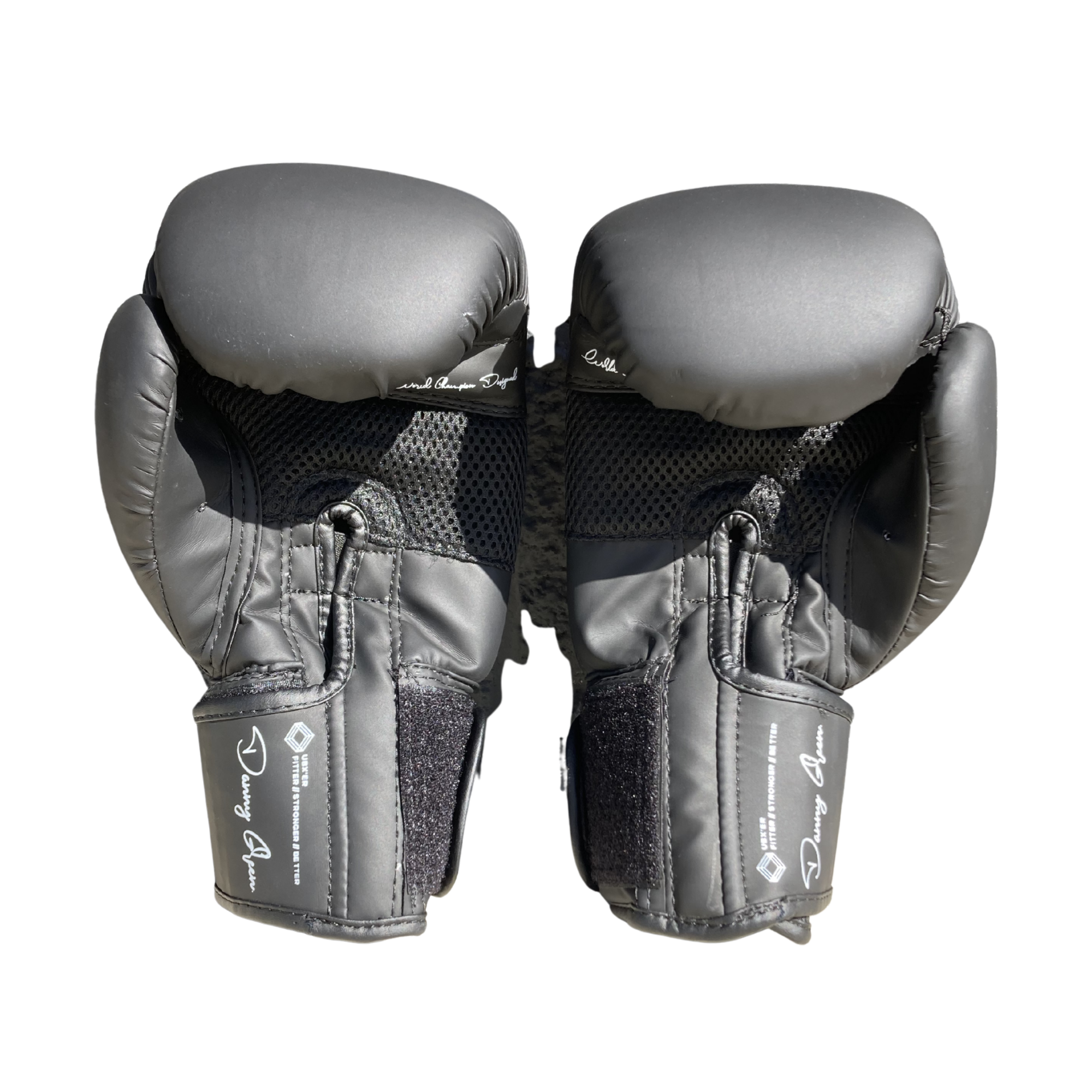 UBX 10oz Training Boxing Gloves