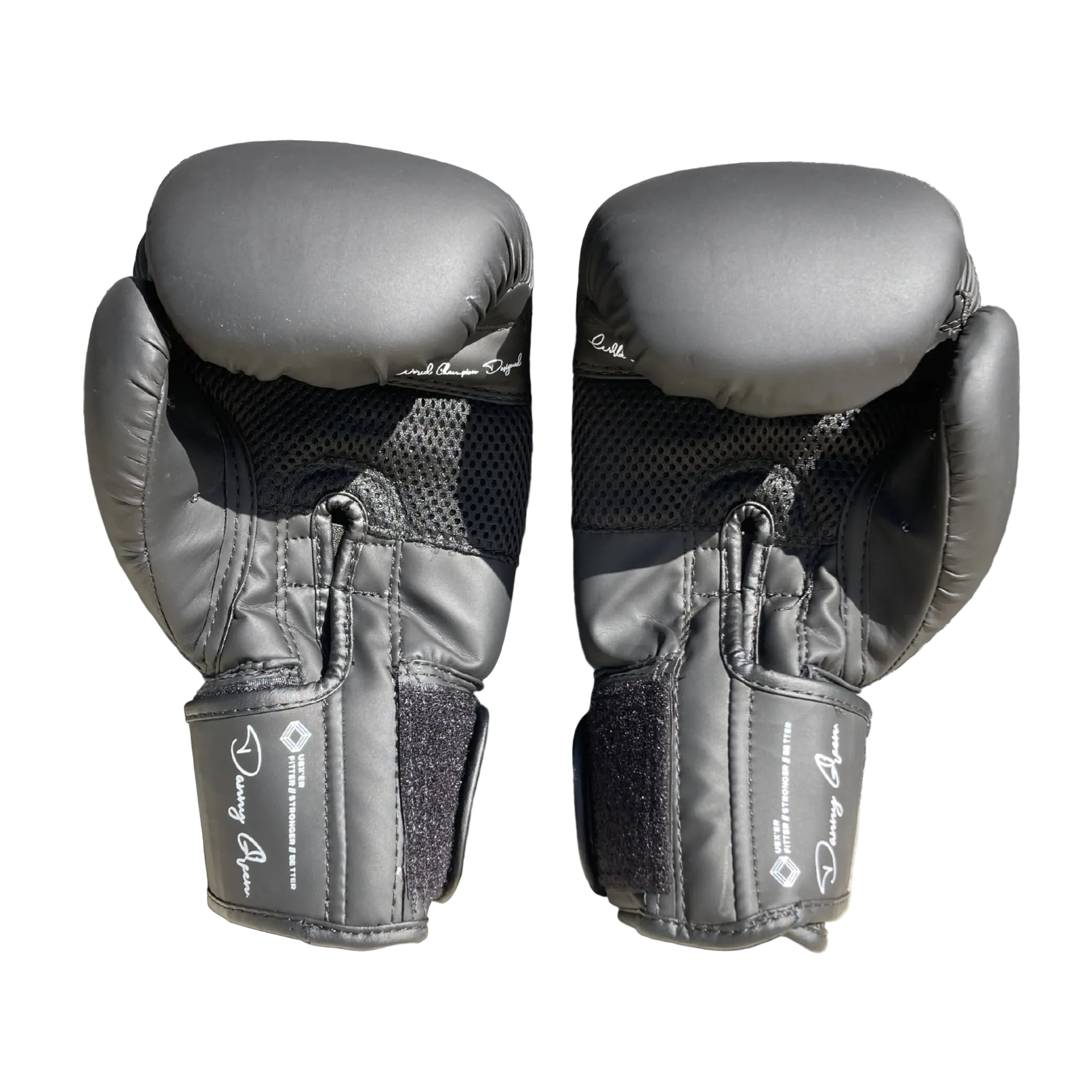 UBX 10oz Training Boxing Gloves